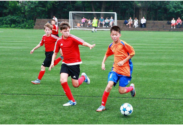 青训--人工草坪